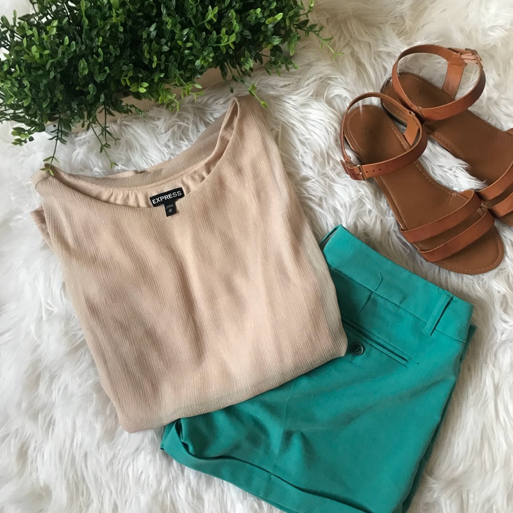 Express Sheer Sparkle Blouse